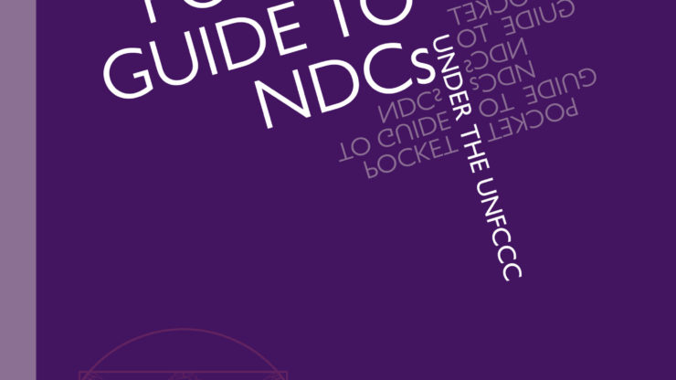 NDC Pocket Guide 2020