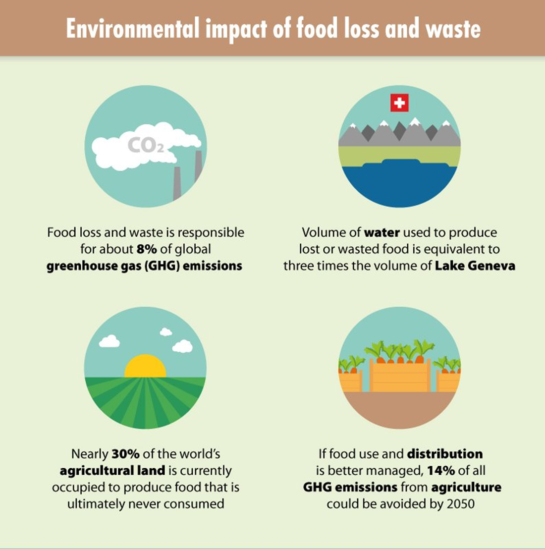 food waste graphic, Source: https://twitter.com/faostatistics/status/920548825374298112